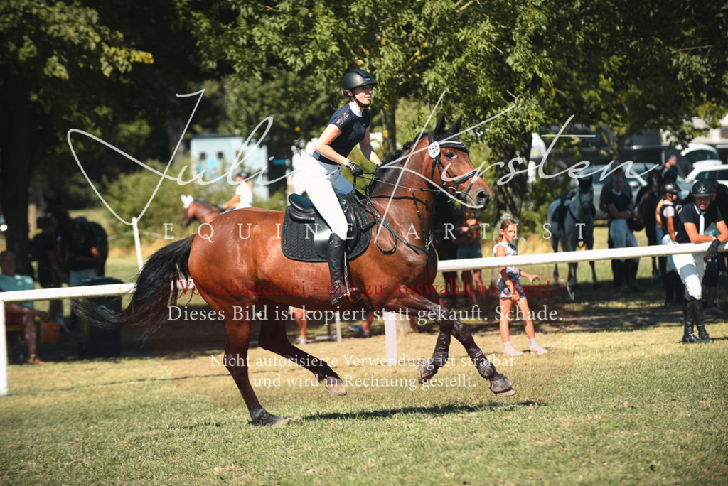 DSC_7225 | Pferde- und Turnierfotografie in Westsachsen. Pferdeportraits, Auftragszeichnungen und intuitive Kunst.