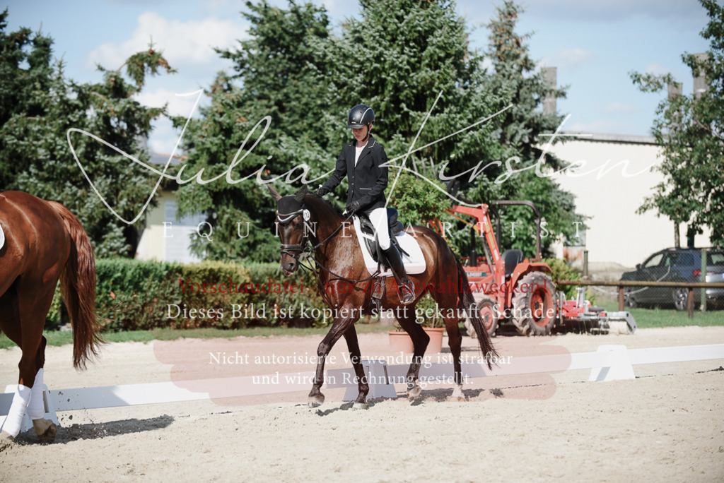 DSC_0037 | Pferde- und Turnierfotografie in Westsachsen. Pferdeportraits, Auftragszeichnungen und intuitive Kunst.
