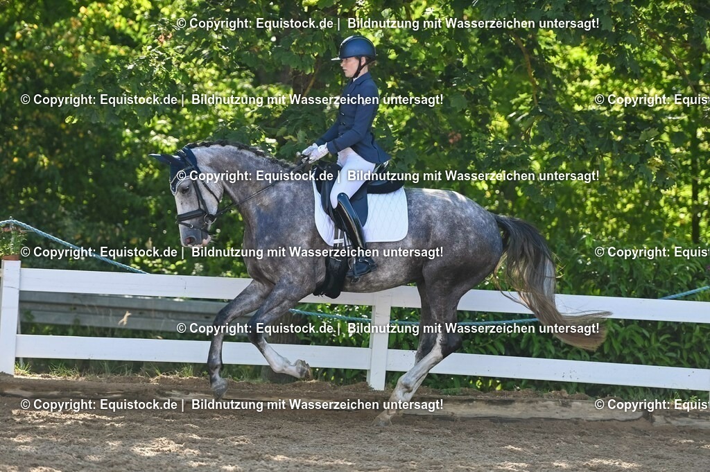 20230715_06_Dressurpferdeprfg. Kl.A_0316 | equistock