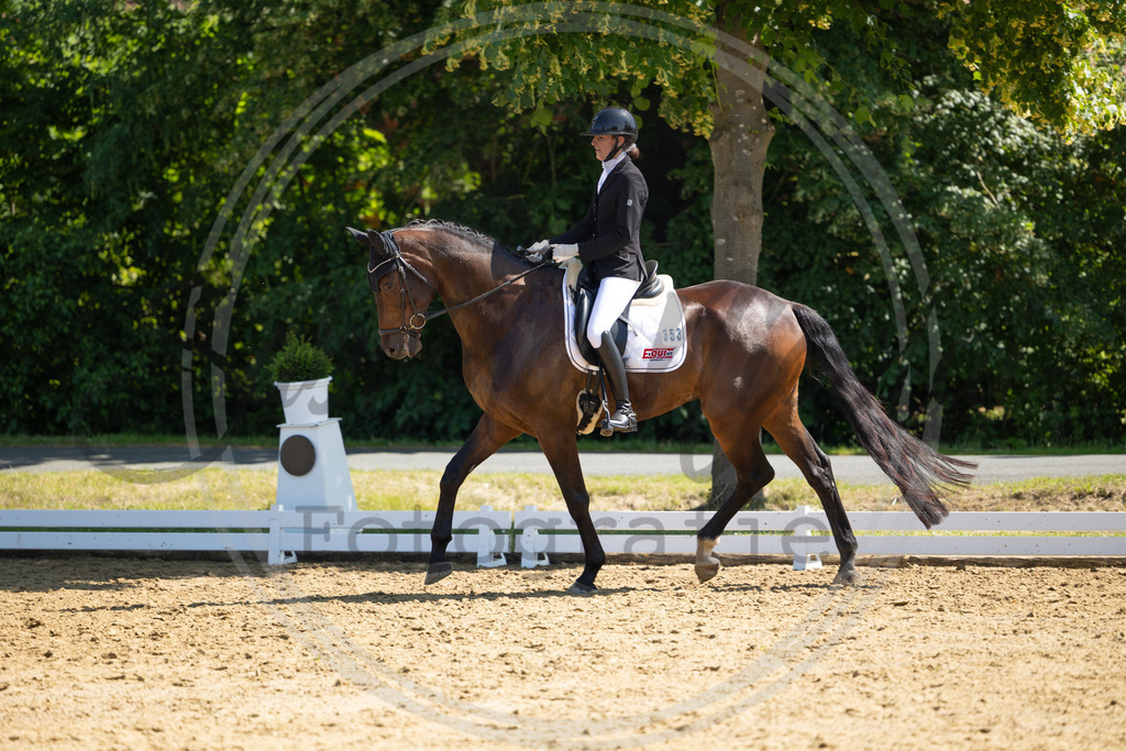 994A2957 | sabrinanicolaifotografie - Realisiert mit Pictrs.com