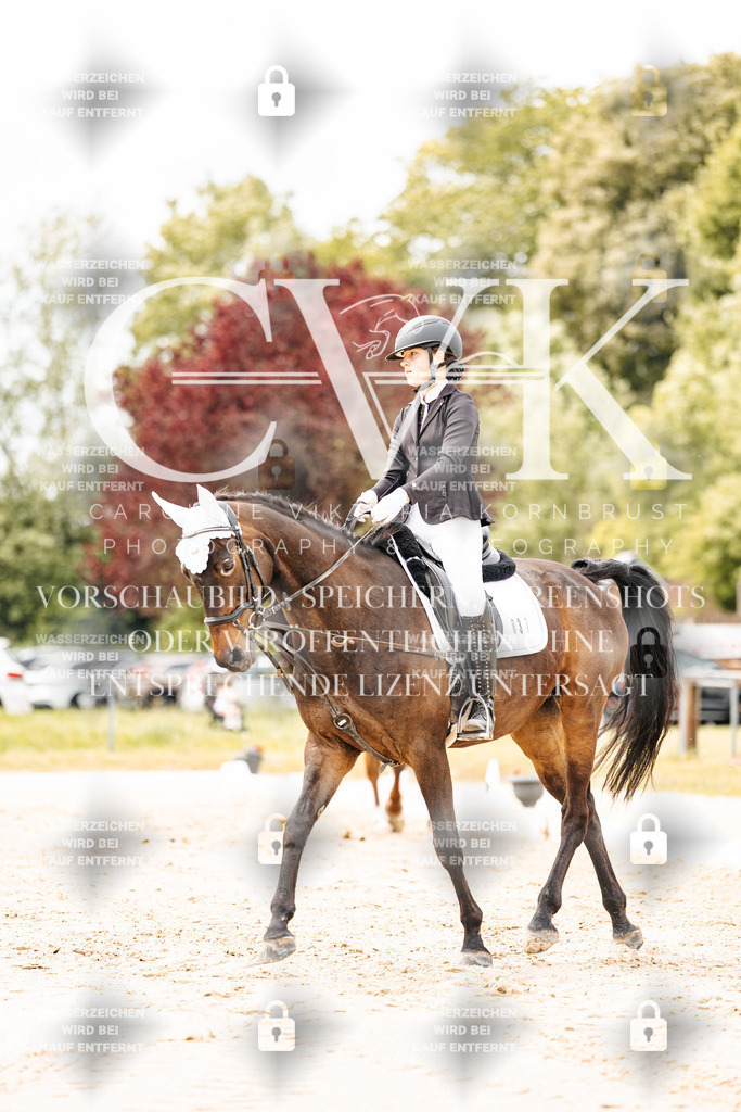 CK902871 | Turnierfotografie Pferdefotografie Trier Rheinland-Pfalz Pferdesport Reitsport Tierfotografie Sportfotografie Pferdevideo Pferdevideografie Equestrianvideography equestrianphotography  - Realisiert mit Pictrs.com