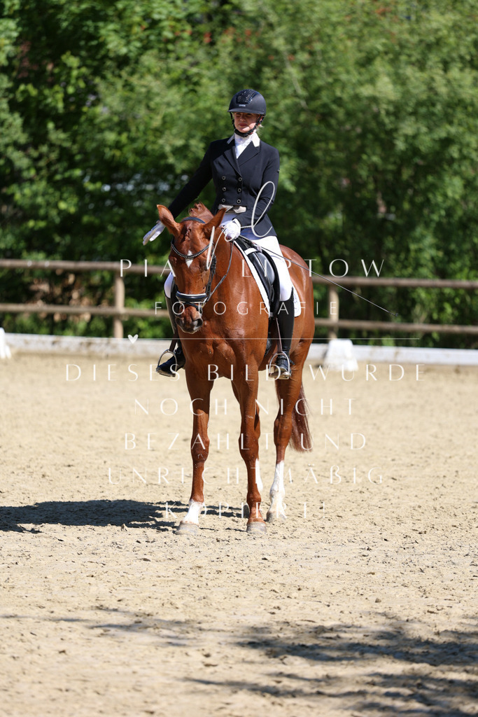 IMGS0722 | pl-fotografie