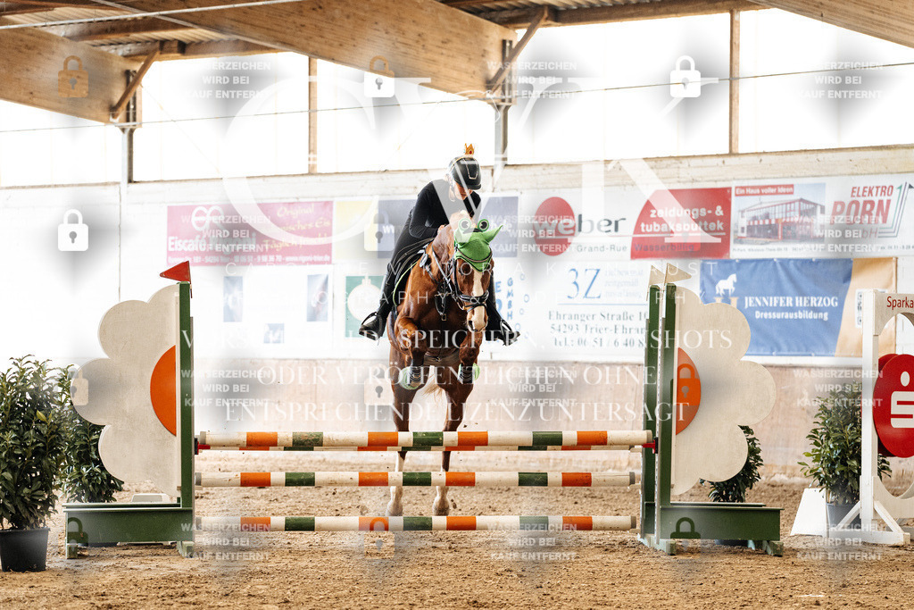 CK905471 | Turnierfotografie Pferdefotografie Trier Rheinland-Pfalz Pferdesport Reitsport Tierfotografie Sportfotografie Pferdevideo Pferdevideografie Equestrianvideography equestrianphotography  - Realisiert mit Pictrs.com