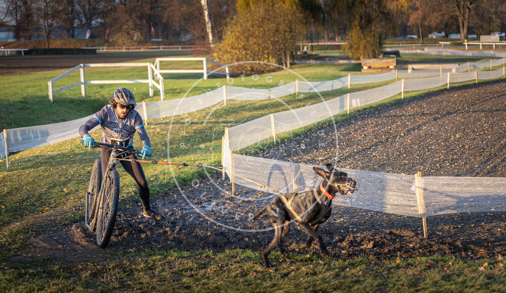 CaniXpix_DV3A9451 | Hundefotografie, Tierfotograf, Pfotenfotografie, Fotoshooting Hund, Hunde Portrait, Hundesport, Hundeportraits, Heideshooting, Hunde, Sportfotograf, Hundefotograf, Turnierhundsport, THS,  - Realisiert mit Pictrs.com