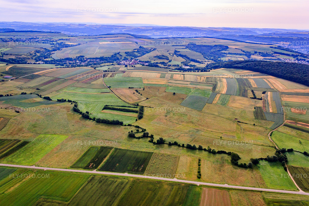 Aerial view: Meandering stream Ruisseau de Beyren through the meadows in Beyren-lès-Sierck in the state Moselle, France. – Photo: IMG_050646.jpg taken on 06/24/2012 by Werner Riehm/FLY-FOTO.com – Resolution of the original: 4752 x 3168 px