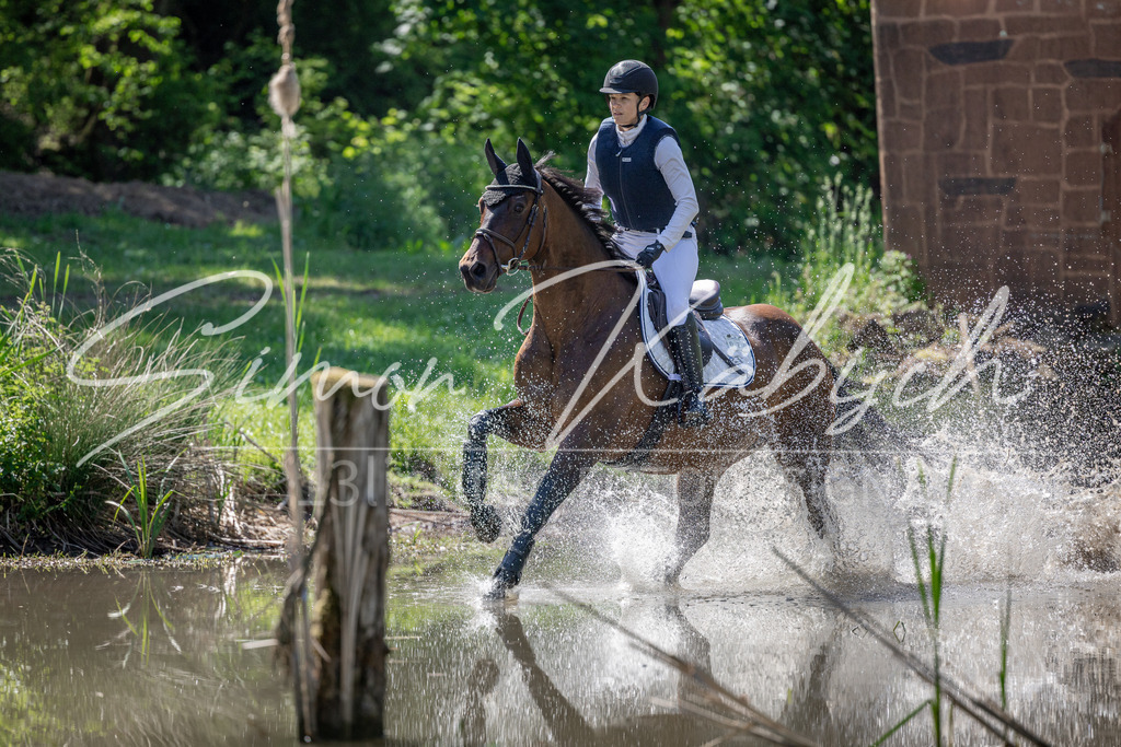 20260523-_3LI7390 | Tierfotografie Pferde, Hunde, Katzen, Haustiere.
Turnierfotografie Reitturniere, Reiten, Springreiten, Dressur in Hanau, dem Main-Kinzig-Kreis und dem Rhein-Main- Gebiet um Frankfurt