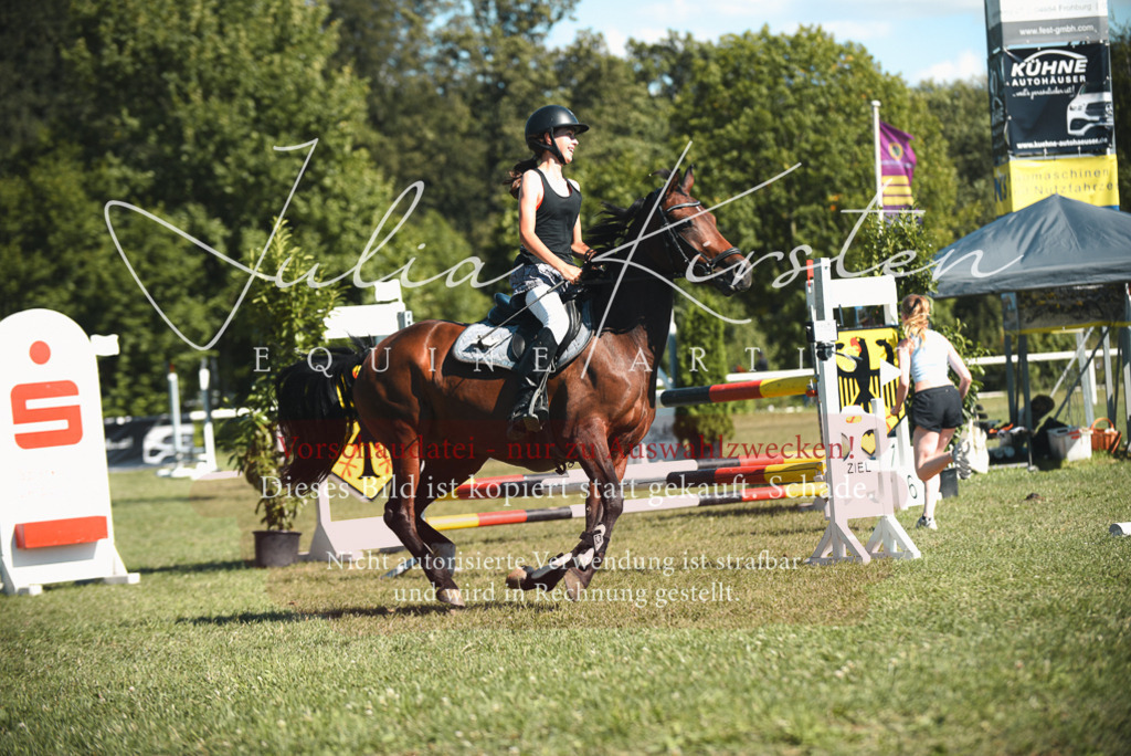 DSC_7464 | Pferde- und Turnierfotografie in Westsachsen. Pferdeportraits, Auftragszeichnungen und intuitive Kunst.