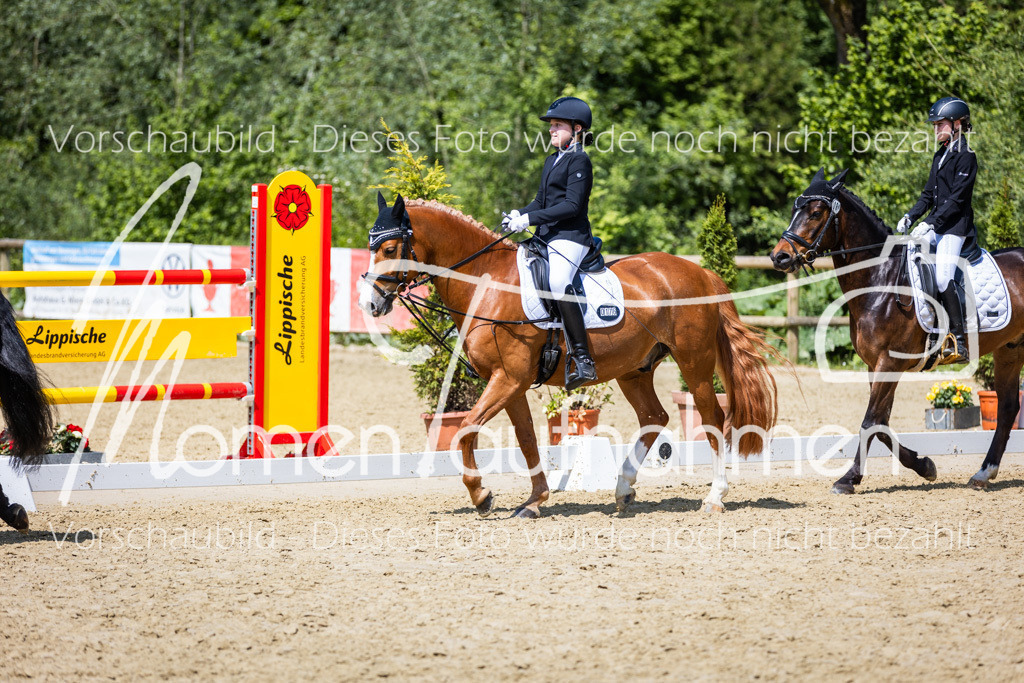 Donop24-RWB-004 | MomenTaufnahmen Pferdesportfotos