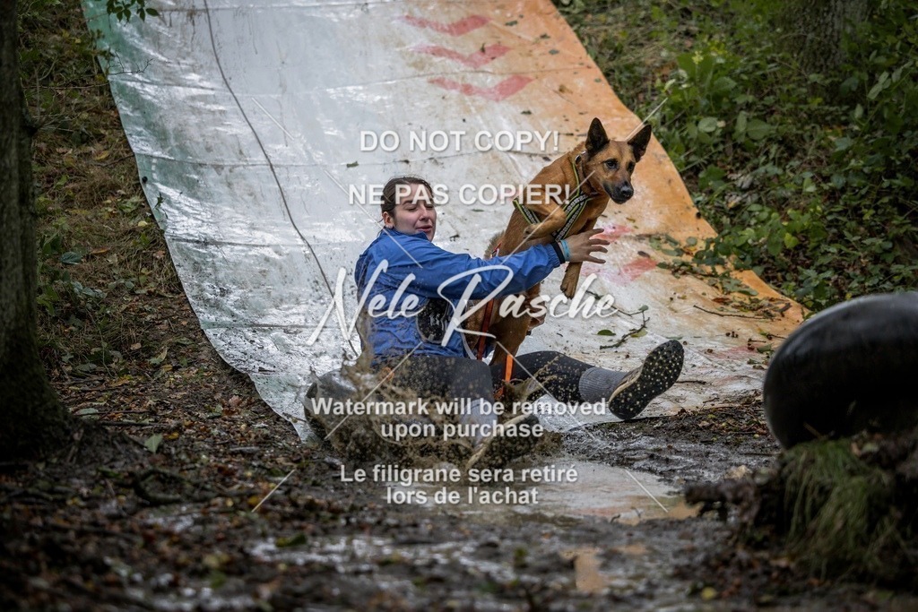 nelerasche_Hunsrück_Sa0930-1000_301-final | nelerasche