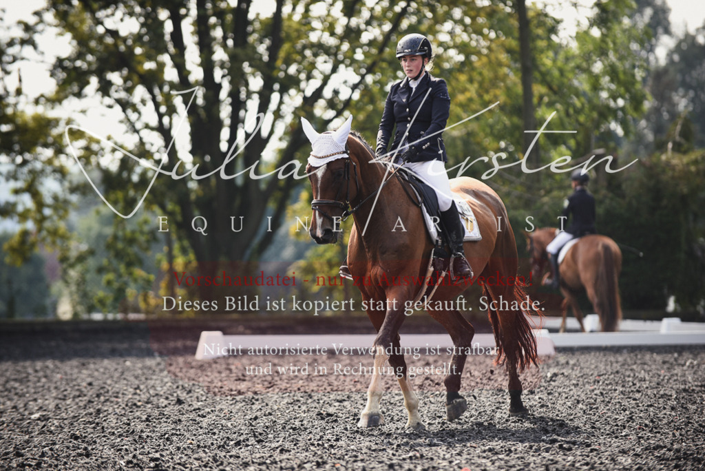 DSC_3565 | Pferde- und Turnierfotografie in Westsachsen. Pferdeportraits, Auftragszeichnungen und intuitive Kunst.