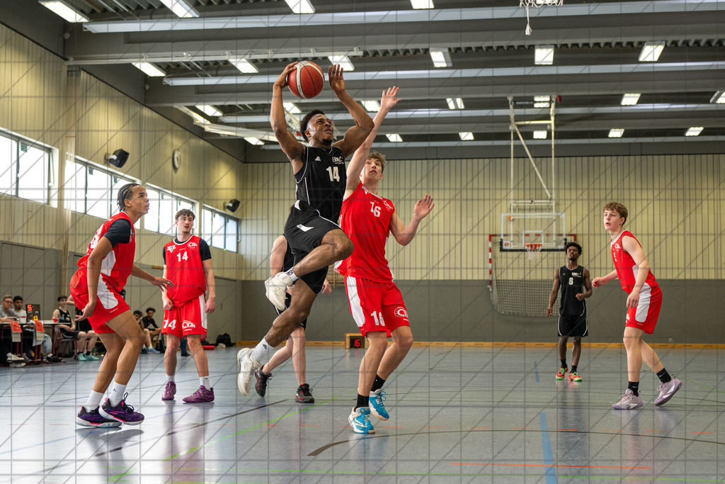 NBV Verbandsmeisterschaft U18m | Finale | TK Hannover vs. CVJM Hannover | 15.03.26: NBV Verbandsmeisterschaft U18m | Finale | TK Hannover vs. CVJM Hannover / Osnabrück / Deutschland  //   CREDIT:www.bullenfotos.de, Martin König, Hörner Weg 40, D-49078 Osnabrück, +4917663732967 // Nutzung und Weitergabe nur zu den vereinbarten Zwecken. Presseanfragen an Ersteller. Alle Rechte beim Ersteller. Honorierung nach MFM. - Realisiert mit Pictrs.com
