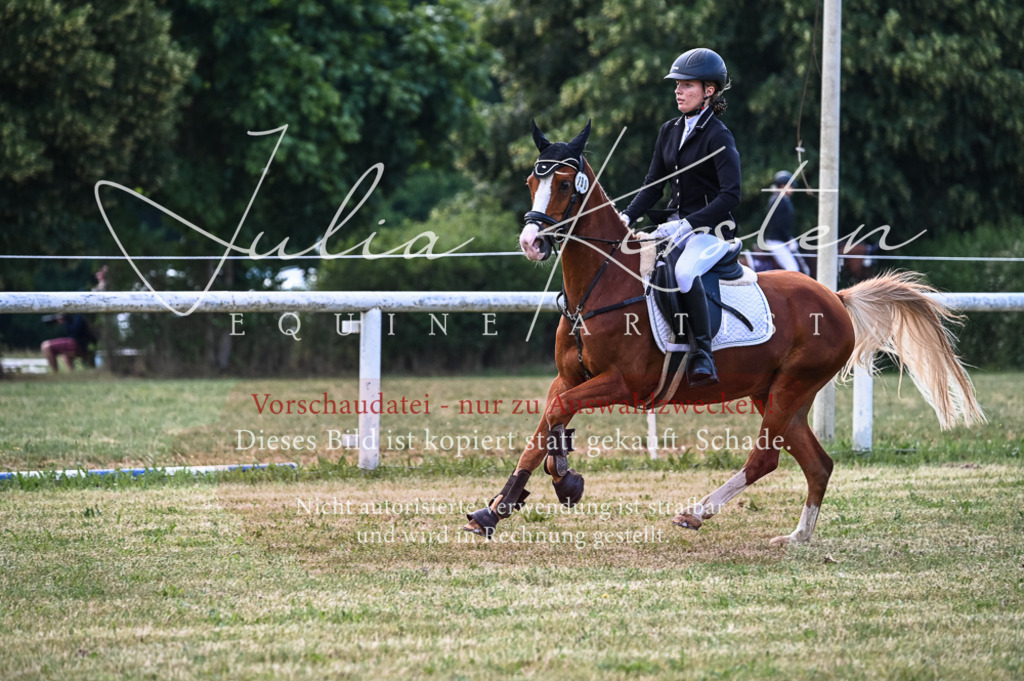 DSC_8085 | Pferde- und Turnierfotografie in Westsachsen. Pferdeportraits, Auftragszeichnungen und intuitive Kunst.