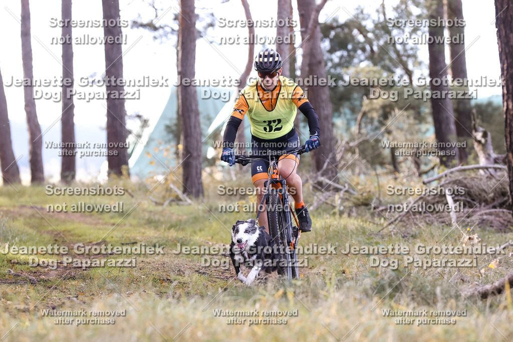 Dog Paparazzi - Elsholz 25 -132 | Dog Paparazzi Jeanette Grottendiek Fotografie & Videografie - Realisiert mit Pictrs.com