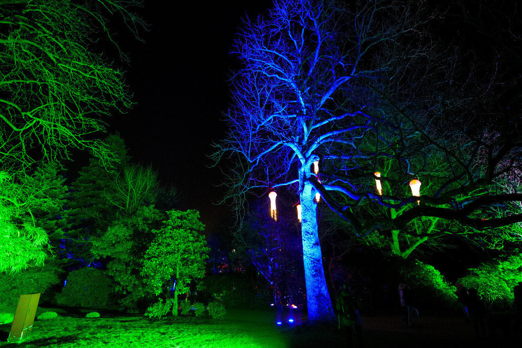 Parkleuchten_GrugaEssen24_43 | Bildergalerie von Sport-Ereignissen aber auch von weiteren spannenden Dingen - nicht nur vom Niederrhein. In Anlehnung an den bekannten Spruch von Hanns Dieter Hüsch heißt das Motto: "Niederrhein ist überall".  - Realisiert mit Pictrs.com