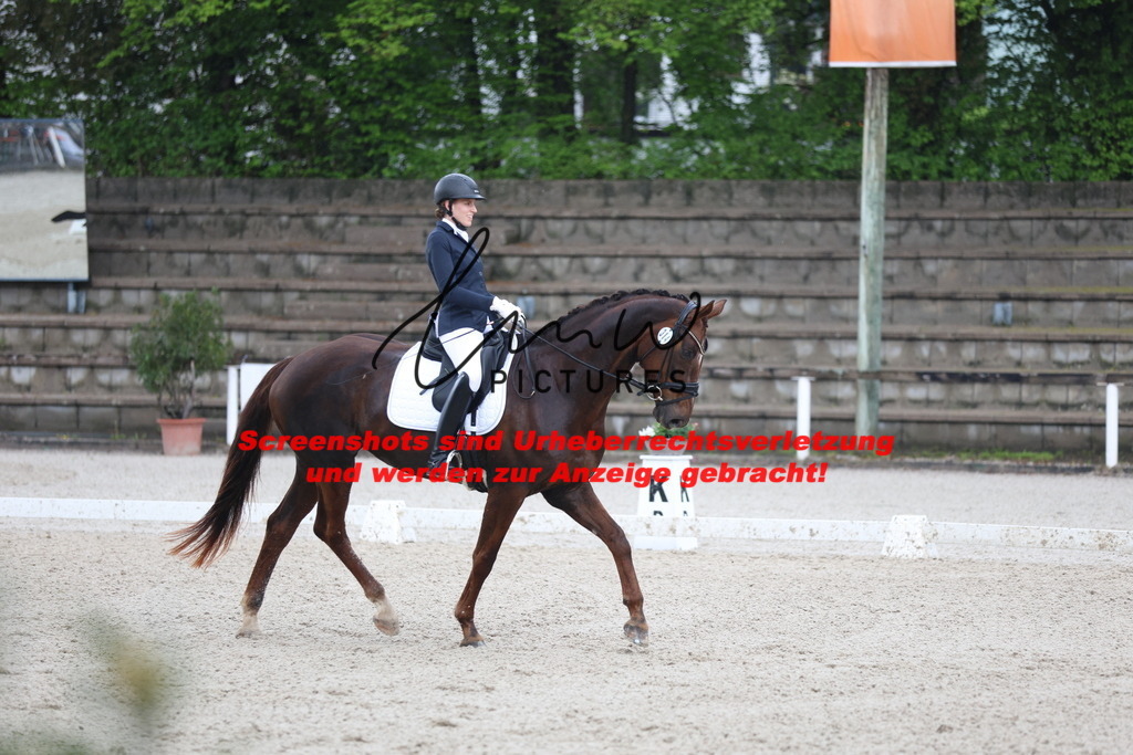 A40A8727 | lmwpictures - Realisiert mit Pictrs.com