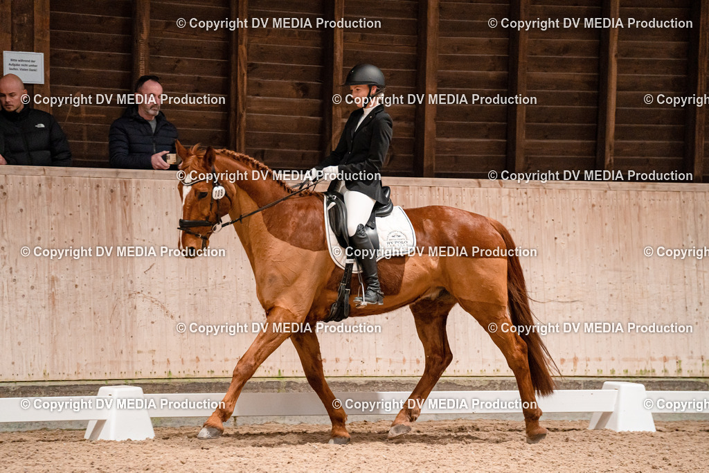 Dressur Tag 1 -371 | dv-media-shop - Realisiert mit Pictrs.com