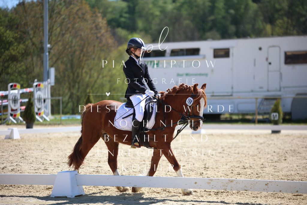 IMGT0592 | pl-fotografie