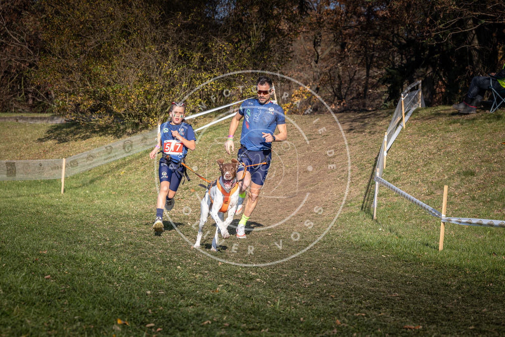 CaniXpix_0L8A8522 | Hundefotografie, Tierfotograf, Pfotenfotografie, Fotoshooting Hund, Hunde Portrait, Hundesport, Hundeportraits, Heideshooting, Hunde, Sportfotograf, Hundefotograf, Turnierhundsport, THS,  - Realisiert mit Pictrs.com