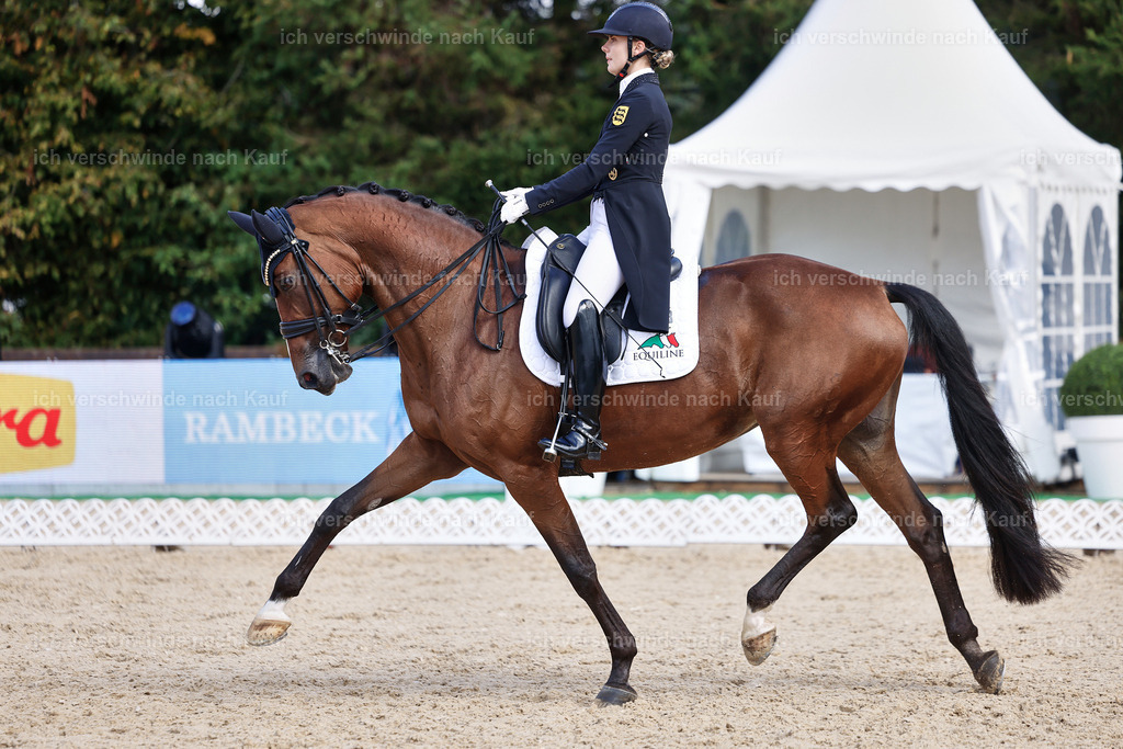 07-003-DRESSUR  S___  -StoibPH-5068 | working equitationturnier fotograf videograf stoibphotography marixx film working equitation deutschland reitsport turnierfotografie eventfotografie equestrian events
