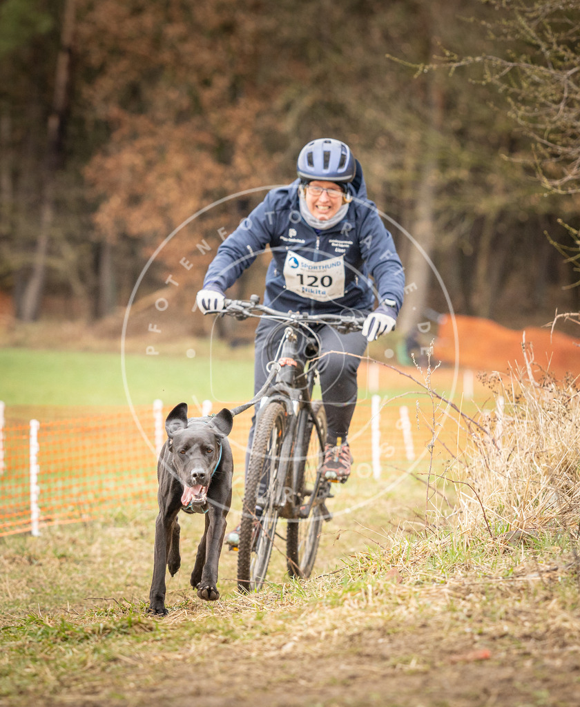 DV3A1061 | Hundefotografie, Tierfotograf, Pfotenfotografie, Fotoshooting Hund, Hunde Portrait, Hundesport, Hundeportraits, Heideshooting, Hunde, Sportfotograf, Hundefotograf, Turnierhundsport, THS,  - Realisiert mit Pictrs.com