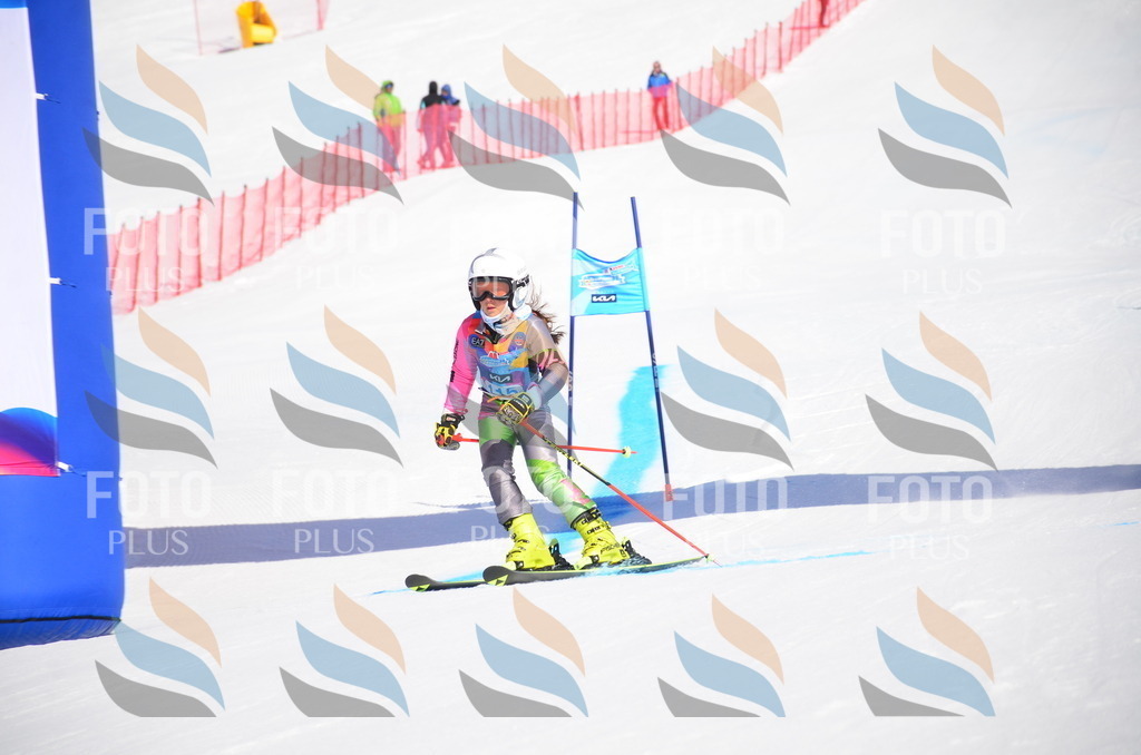 VR4_9450 | holidayphoto