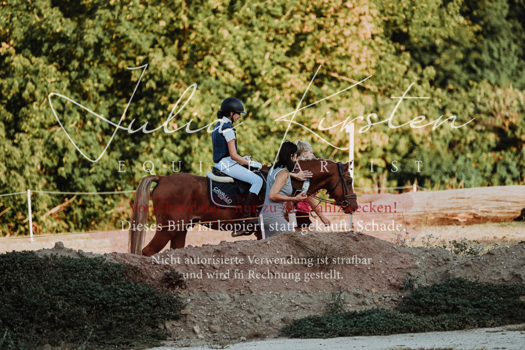 DSC_9314 | Pferde- und Turnierfotografie in Westsachsen. Pferdeportraits, Auftragszeichnungen und intuitive Kunst.