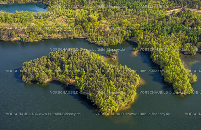 Brueggen240403191DiergartscherSeeSchwalm | Luftbild, Diergartscher See Naturschutzgebiet NSG Elmpter Schwalmbruch, Mischwald und Insel im See, Auenlandschaft an der deutsch-niederländischen Grenze, Oebel, Brüggen, Niederrhein, Nordrhein-Westfalen, Deutschland