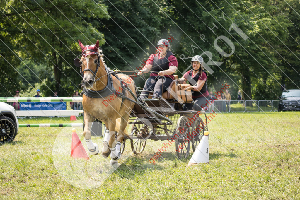 IMG_8469 | Sport-, Event- und Tierfotos in Profiqualität. Einfach auswählen, bestellen und herunterladen. Dein Moment – perfekt festgehalten.