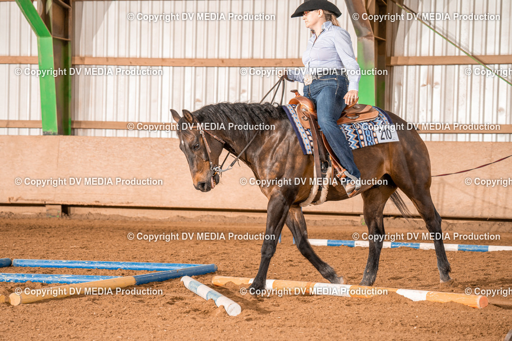 BAL00620 | dv-media-shop - Realisiert mit Pictrs.com