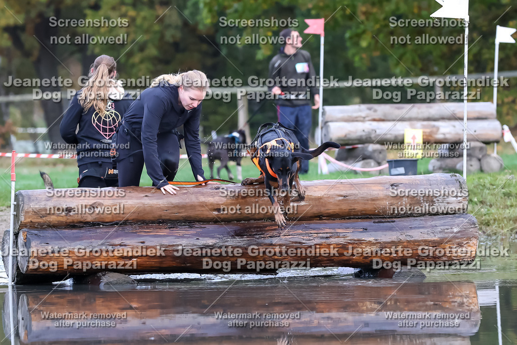 Dog Paparazzi - Strongdog 10-25-6568 | Dog Paparazzi Jeanette Grottendiek Fotografie & Videografie