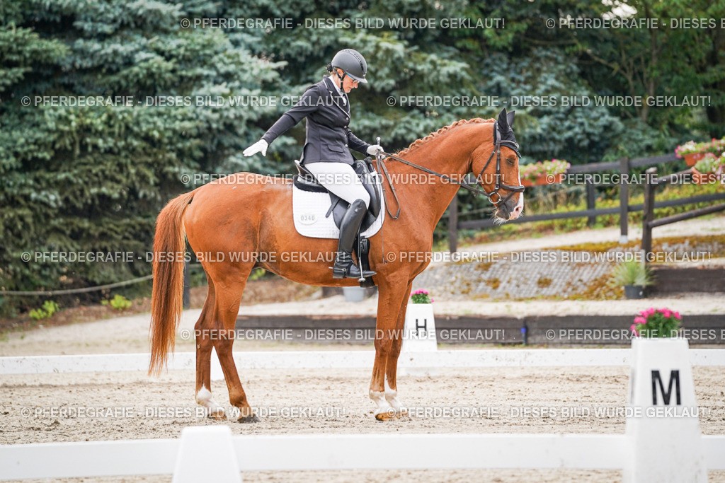 DSC00273 | Pferdegrafie