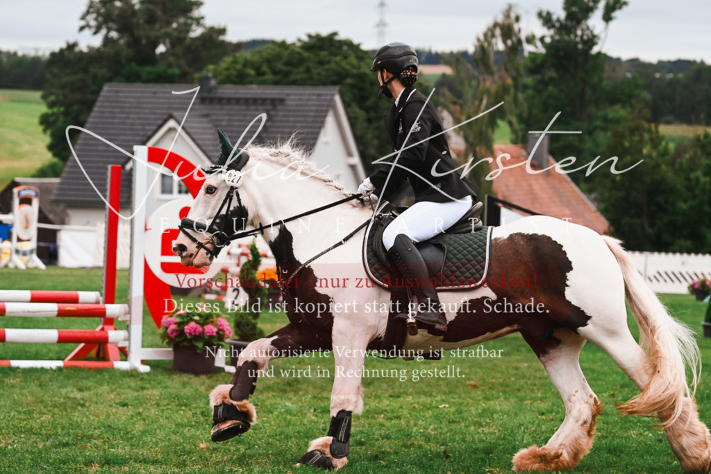 DSC_6238 | Pferde- und Turnierfotografie in Westsachsen. Pferdeportraits, Auftragszeichnungen und intuitive Kunst.