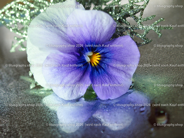titusgraphy_P5106775-vz-ln | titusgraphy-shop: Geschenkideen mit Qualitätsfotos. titusgraphy-shop: gift ideas with quality photos. titusgraphy-shop: idées cadeaux avec photos de qualité.  - Realisiert mit Pictrs.com