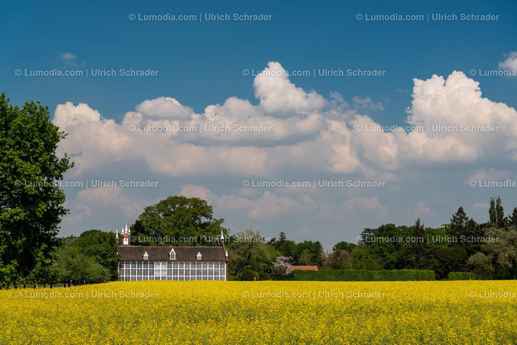 10049-5614 - Wörlitzer Park _ Sachsen Anhalt | Stockfoto und Bilderpool mit Bildmaterial aus Deutschland, dem Harz, Halberstadt, Quedlinburg, Wernigerode und weltweit. Qualitativ hochwertige und professionelle Fotos anschauen und kaufen. - Realisiert mit Pictrs.com
