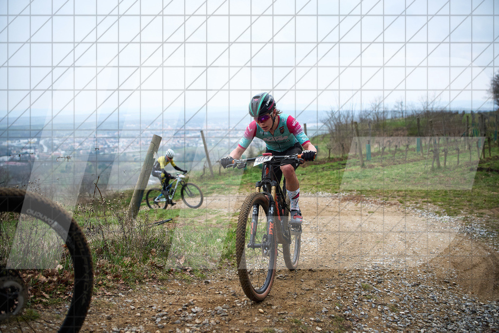 34. KTM Kamptal Trophy  | ZÖBING, Österreich – 2026-03-29: 34. KTM Kamptal TrophyFoto: © 2026 Martin Bihounek - MB Creative e.U.