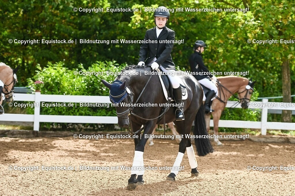 20230716_10-1_Reiter-WB Schritt - Trab - Galopp_0136 | equistock