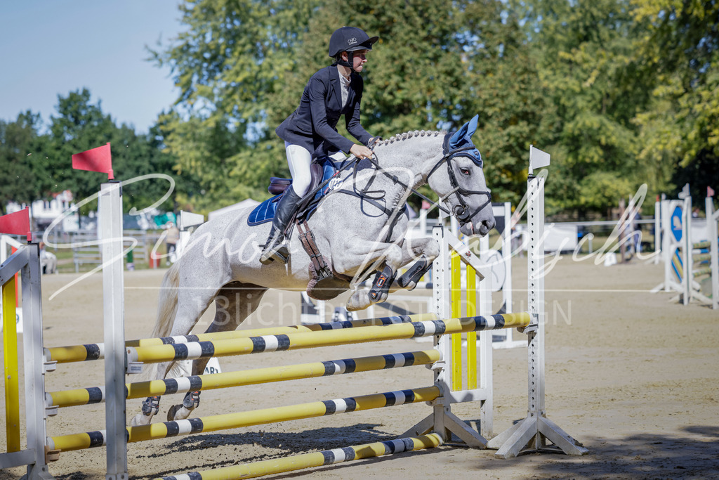 20250906-_3LI3873 | Tierfotografie Pferde, Hunde, Katzen, Haustiere.
Turnierfotografie Reitturniere, Reiten, Springreiten, Dressur in Hanau, dem Main-Kinzig-Kreis und dem Rhein-Main- Gebiet um Frankfurt