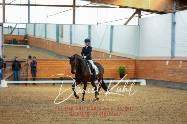 _62_6433 | Turniersportfotografie; Pferdefotografie; Dressurfotografie