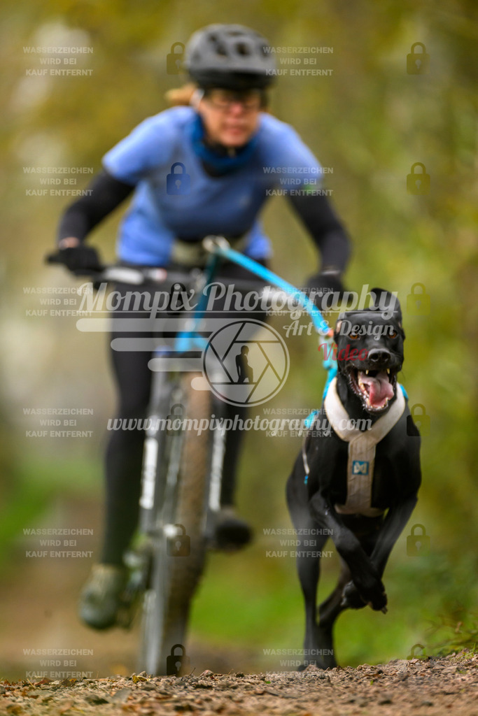 MompixPhotography_20TSB_E6_Bike-125 | PayLife
