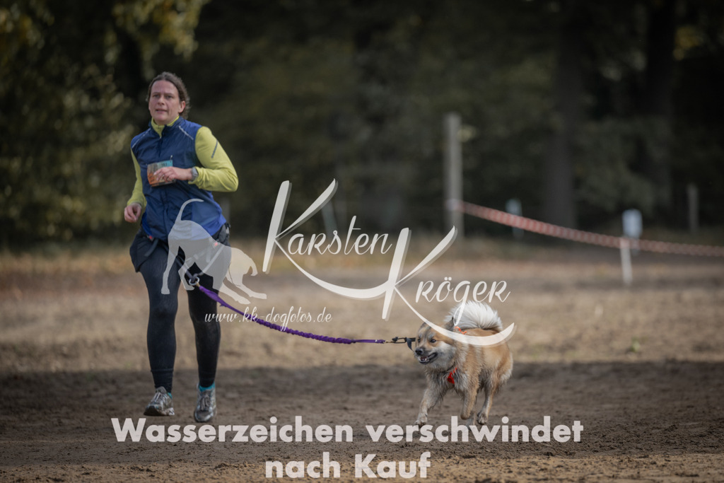 1043_ZZ99146 | kk-dogfotos