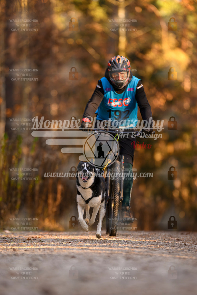MompixPhotography_DM_AKDM_SO_2025_Bike-167 | PayLife