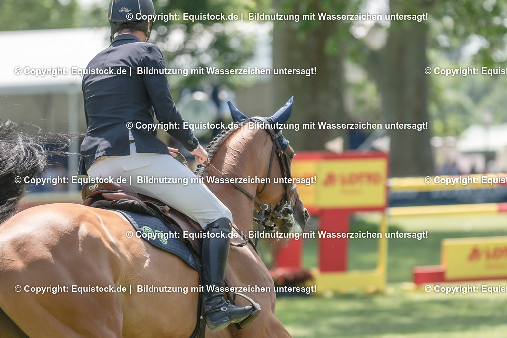 20230527_12_CSI4_Pfungstädter_0040 | equistock