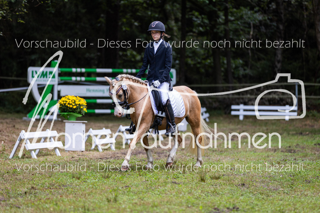 HB-Dressur-WB-004 | MomenTaufnahmen Pferdesportfotos