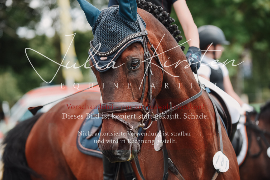 DSC_5712 | Pferde- und Turnierfotografie in Westsachsen. Pferdeportraits, Auftragszeichnungen und intuitive Kunst.