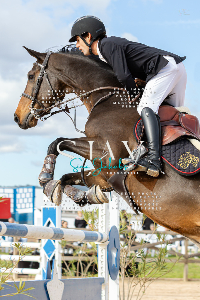 IMG_2450 | s-jay-photography - Realisiert mit Pictrs.com