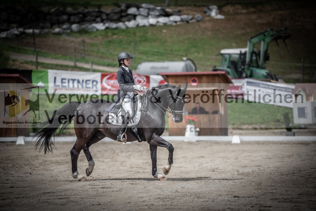 DSC_2693 | equestrian-live-com
