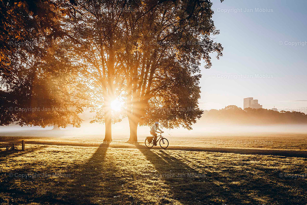 Rosental | Das Rosental in Leipzig ist eine grüne Oase mitten in der Stadt – perfekt für Spaziergänge, Joggingrunden, Picknicks und Naturerlebnisse. Mit weiten Wiesen, altem Baumbestand, einem Aussichtsturm und Wildgehege zählt es zu den beliebtesten Erholungsgebieten Leipzigs. - Realisiert mit Pictrs.com