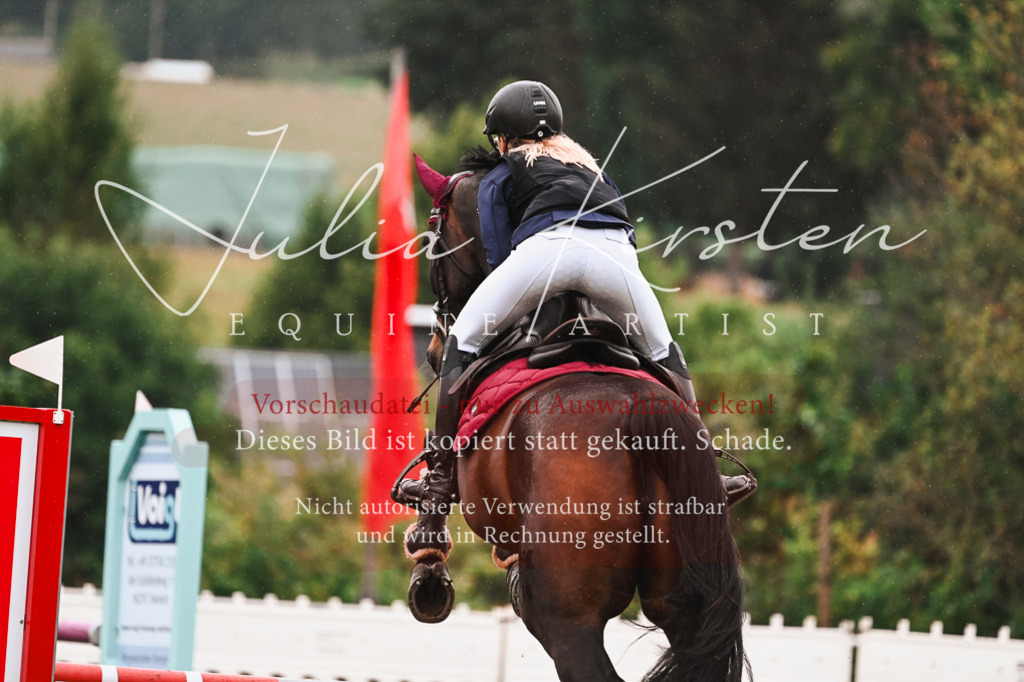 DSC_6534 | Pferde- und Turnierfotografie in Westsachsen. Pferdeportraits, Auftragszeichnungen und intuitive Kunst.