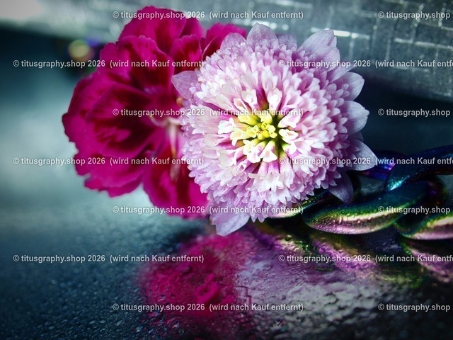 PC172366-titusgraphy | Fotokunstarbeit aus der INSTAGRAM-Gallerie auf titusgraphy.eu - Realisiert mit Pictrs.com