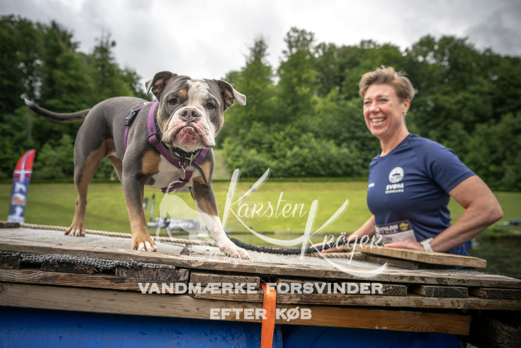 1014_ZZ95305 | kk-dogfotos